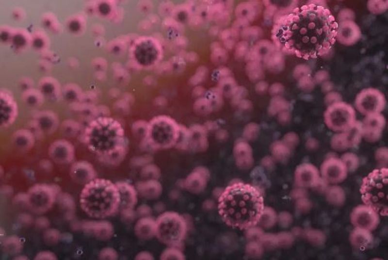 Corona Virus Corona Virus