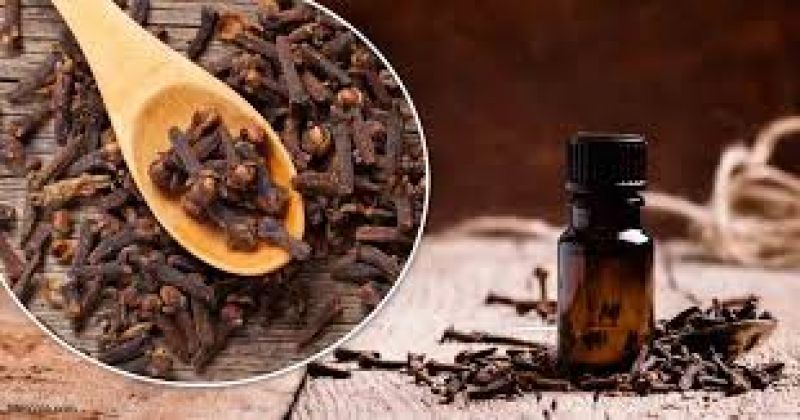 cloves benefits