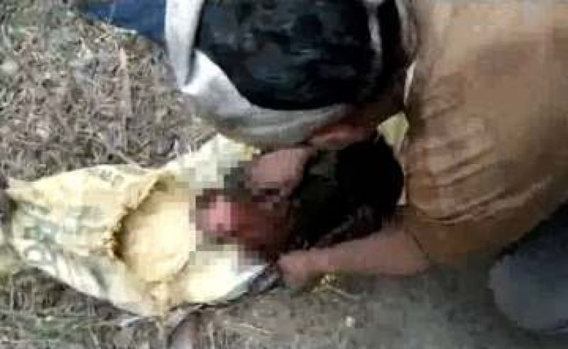 Baby Girl Found Stuffed Inside 3 Gunny Bags, Survives