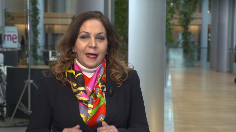 Neena Gill MEP West Midlands Updates from Strasbourg European Parliament