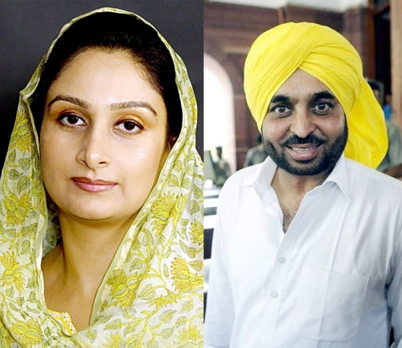 Bhagwant mann, Harsimrat kaur badal