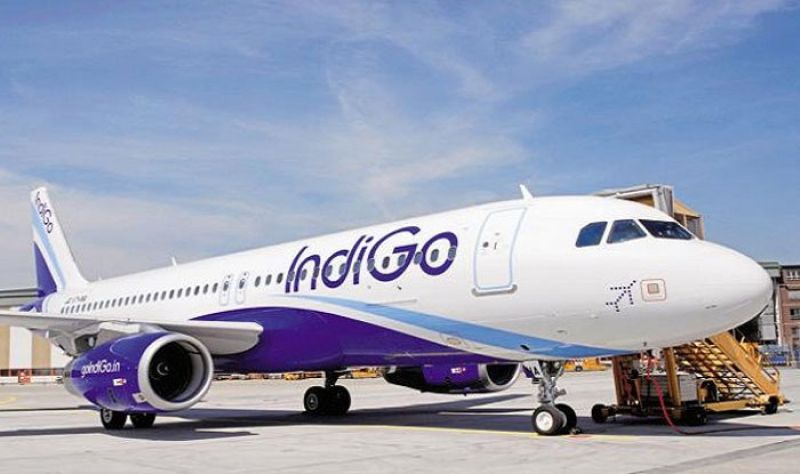 indigo airlines