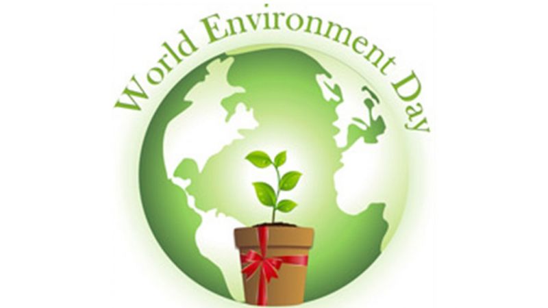 environment day