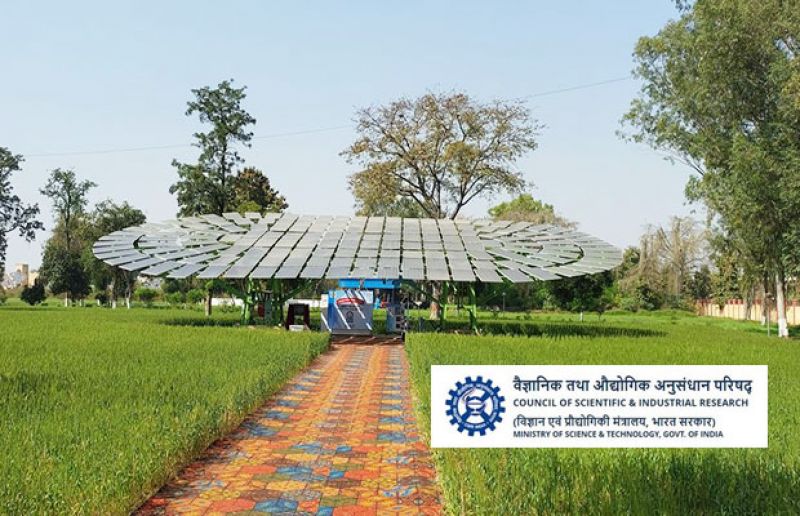 The world's largest solar tree built in Ludhiana