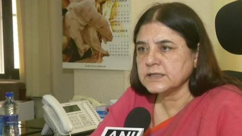 Maneka Gandhi 