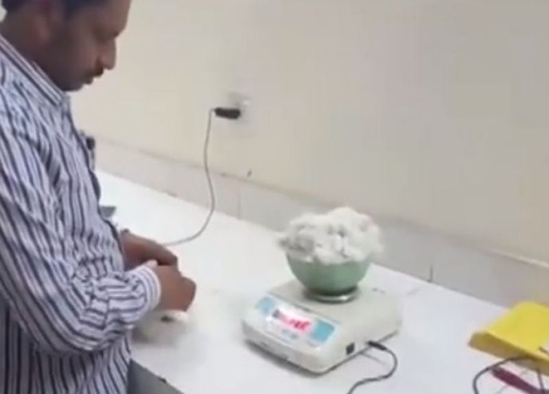 Now bid available online for crops