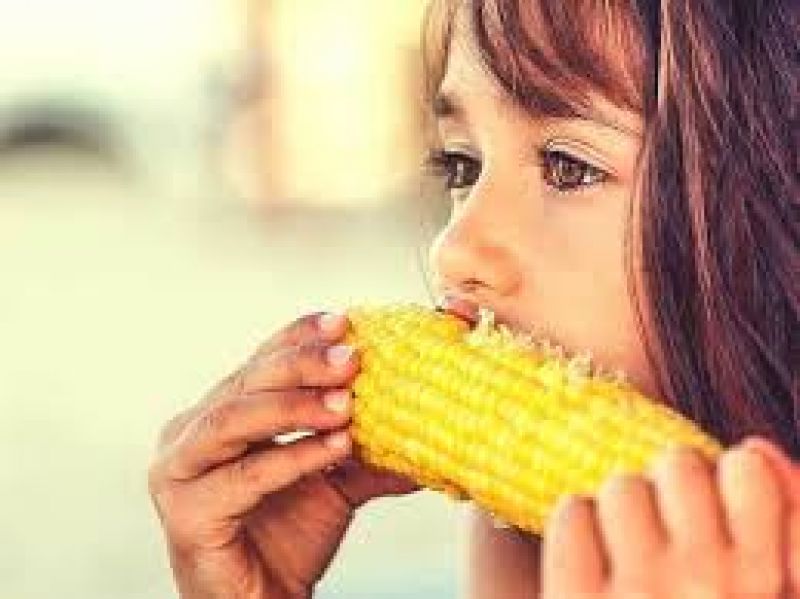 Corn eat health benefits Corn eat health benefits