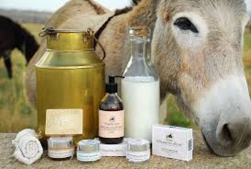 India to soon get dairy for donkey milk