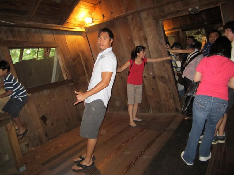 California, Santa Cruz, mystery spot