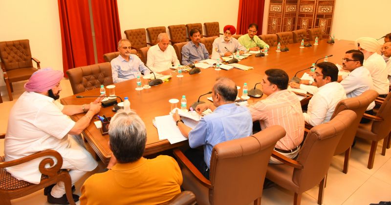 Punjab CM sets up working group to tackle growing stray dog menace