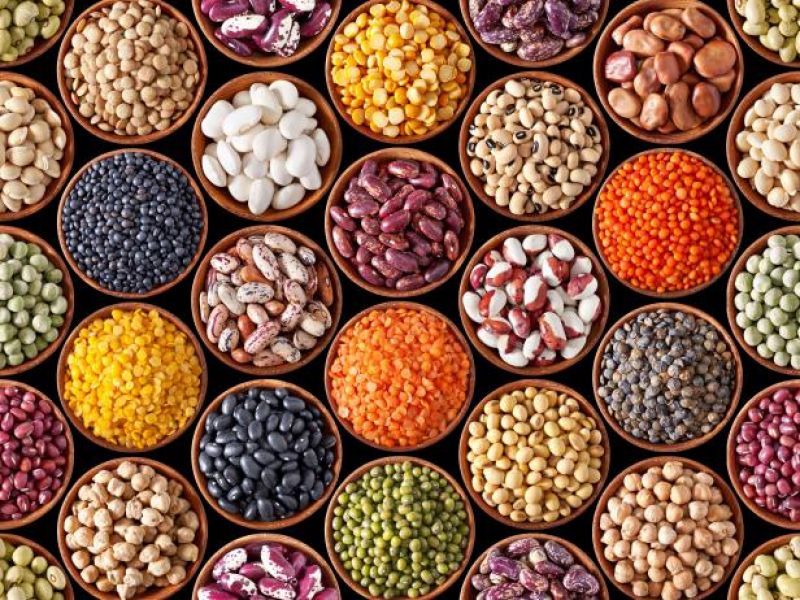 pulses price pulses price