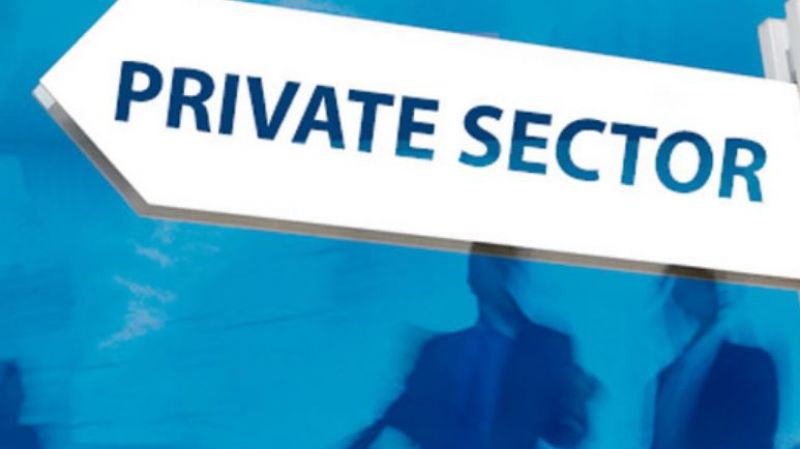 Private Sector 