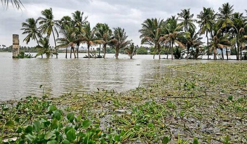 Kerala Flood