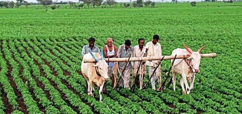 Prime Minister's Crop Insurance Scheme