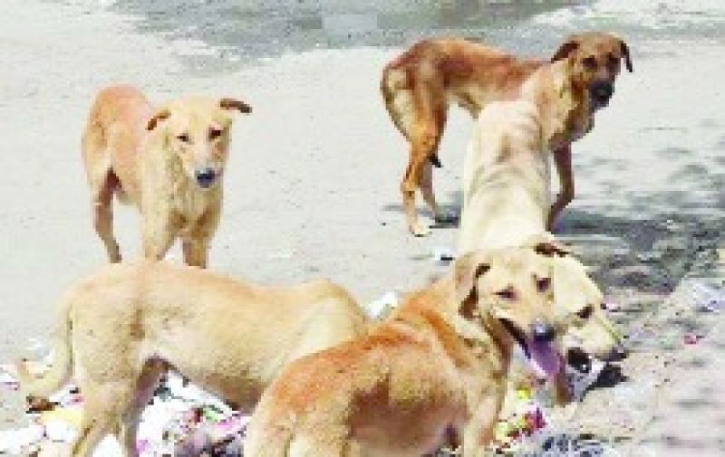 File Photo File Photo