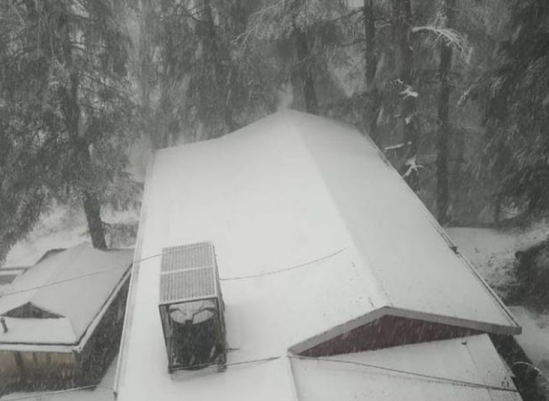Heavy Snowfall Himachal Pradesh 