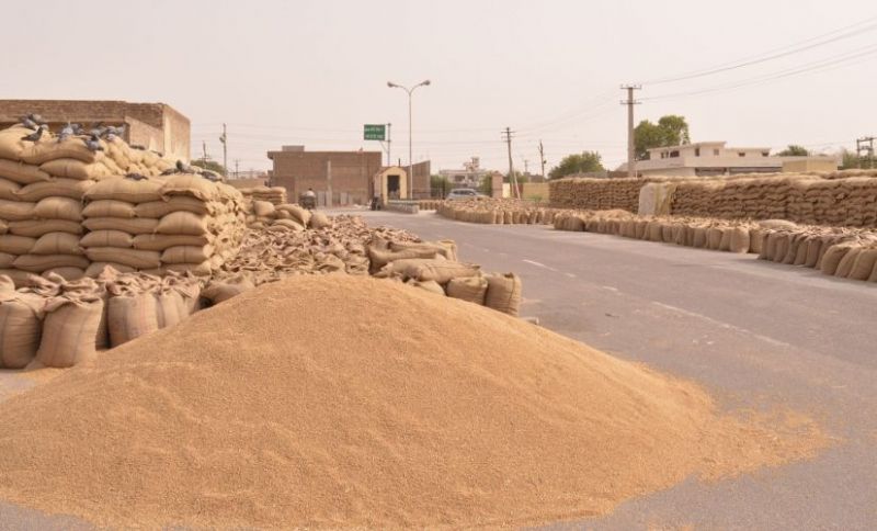 Wheat procurement-2