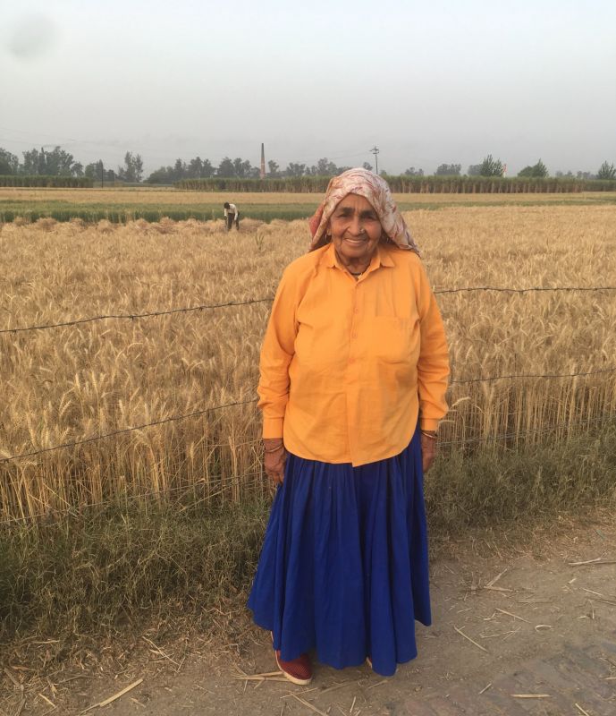 Dadi chandro tomar Dadi chandro tomar