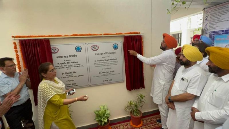 Kuldeep Singh Dhaliwal