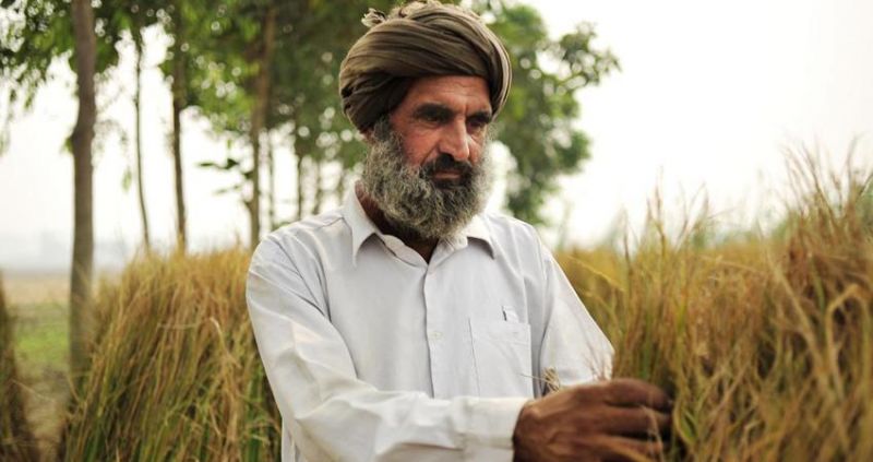 Punjab Farmers Punjab Farmers
