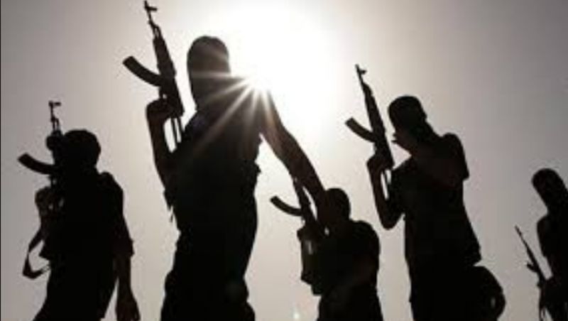 Pak Govt Fight terrorism 