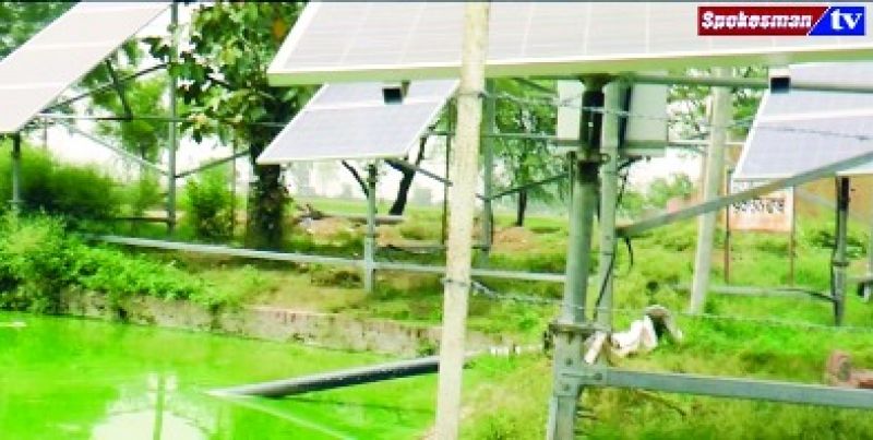 ਪਾਣੀ ਦੀ ਸੰਭਾਲ ਲਈ ਪੰਜਾਬ ਸਰਕਾਰ ਨੇ ਚੁੱਕਿਆ ਅਨੋਖਾ ਕਦਮ