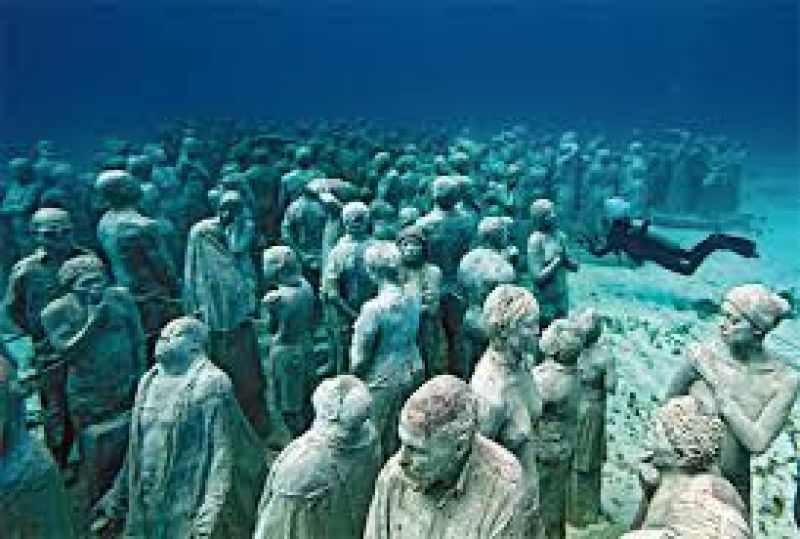 wonders of the underwater world