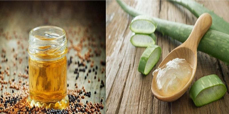 Mustard and Aloe Vera Mustard and Aloe Vera