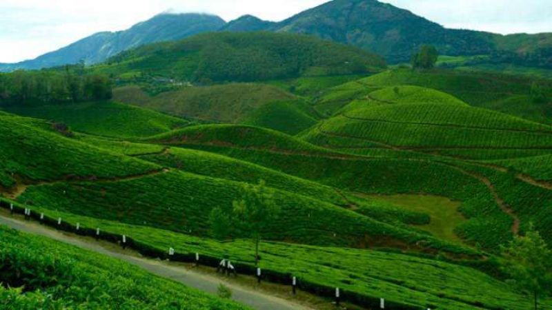 Munnar