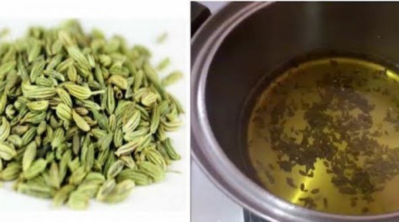 Fennel Seeds Water Fennel Seeds Water
