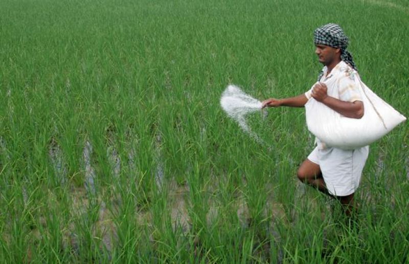 Fertilizers to turn 10% costlier as potash rates rise