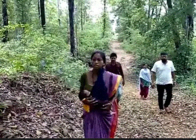 pregnant woman  pregnant woman