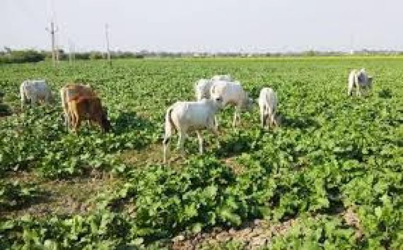 File Photo File Photo