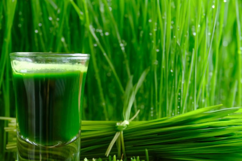 Wheatgrass Juice