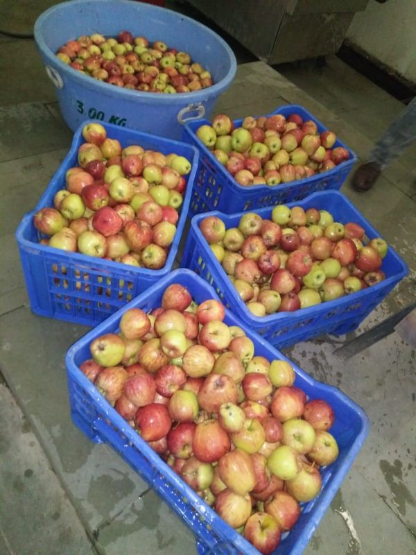  P.A.U. Shares apple processing technology with private company