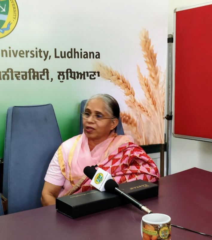 Samrala Farmers Share Their Experiences During PAU Live Programme  Samrala Farmers Share Their Experiences During PAU Live Programme