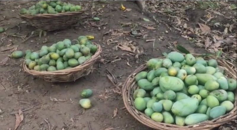 Strong winds and tornadoes cost millions