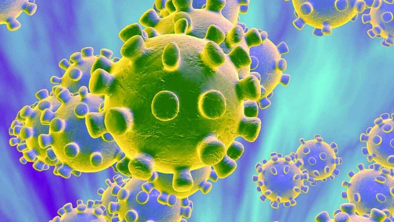 CORONA VIRUS CORONA VIRUS