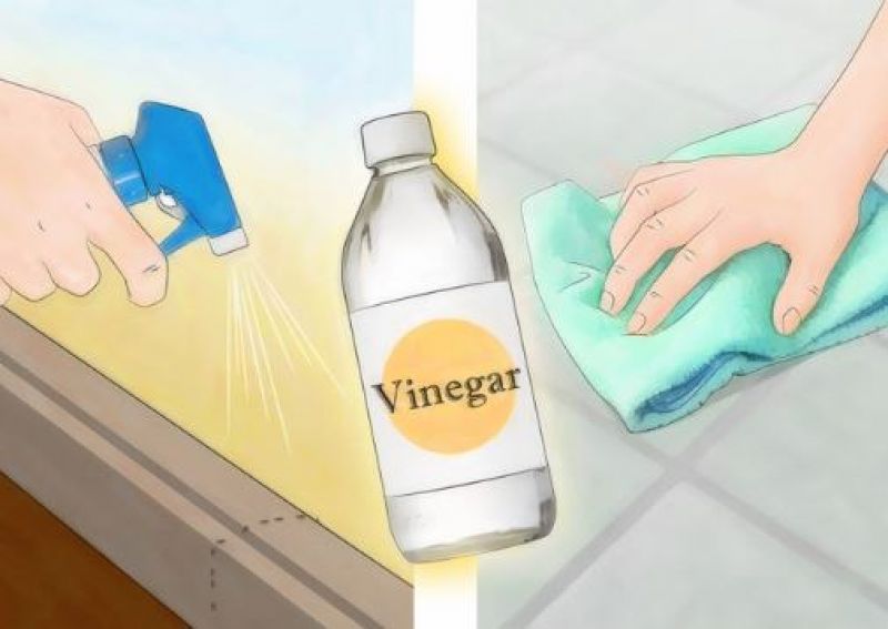 use vinegar instead of pesticide