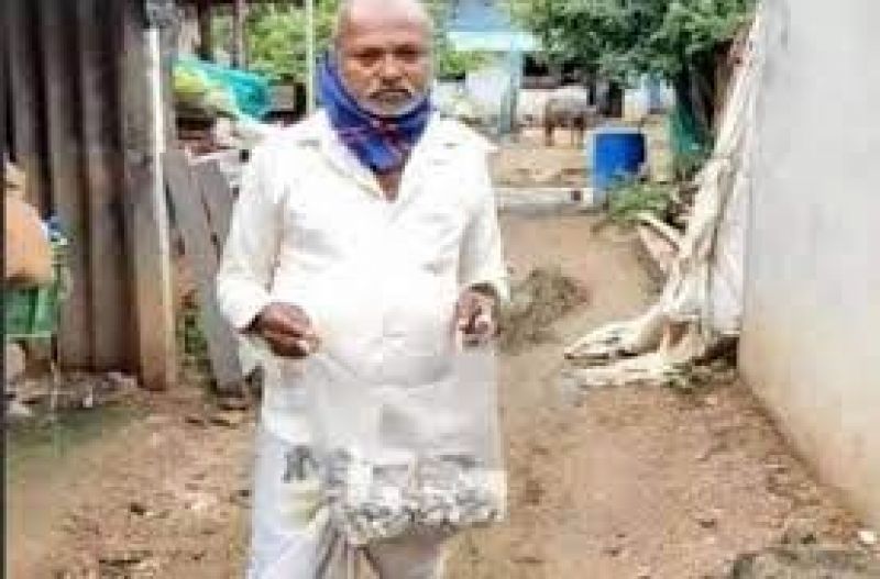 The farmer collected Rs 2 lakh for the surgery but the rats gnawed on him The farmer collected Rs 2 lakh for the surgery but the rats gnawed on him
