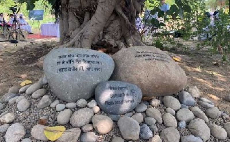  Unique 'Guru Granth Sahib Bagh' Comes Up At Moga 