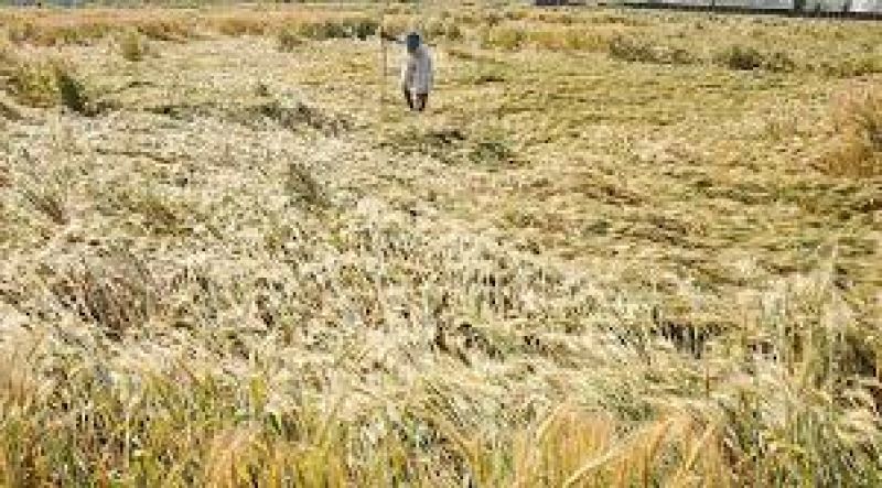 rain shower in delhi temperature dips