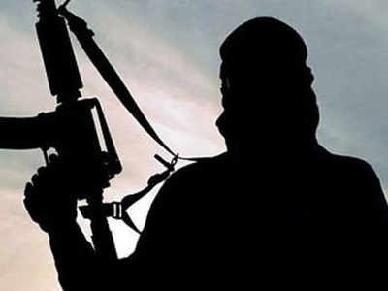 Terrorist Terrorist