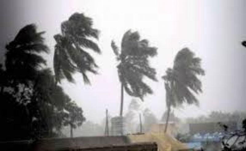50 people killed as storm rain hit up andhra pradesh west bengal and delhi ncr