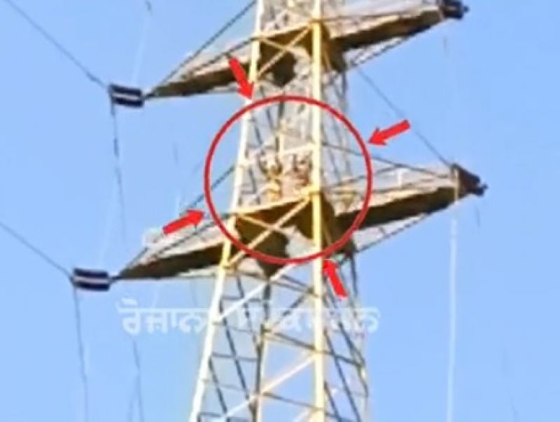 file photo file photo