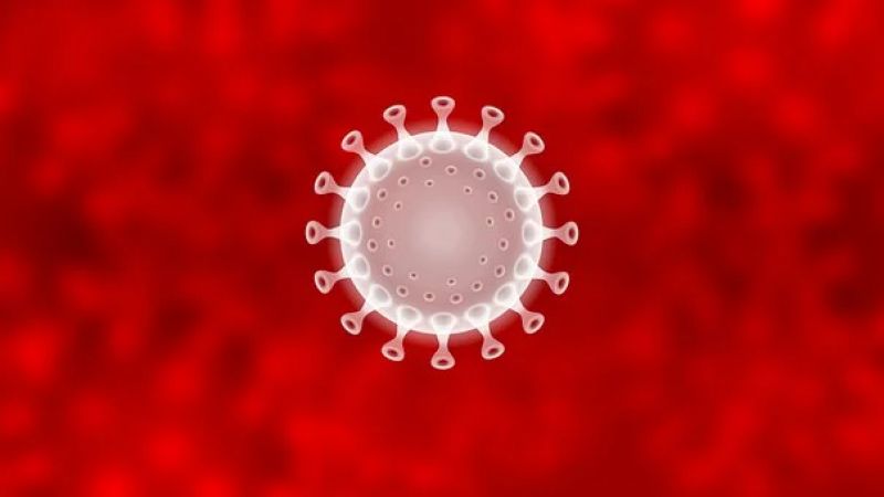 Corona Virus Corona Virus
