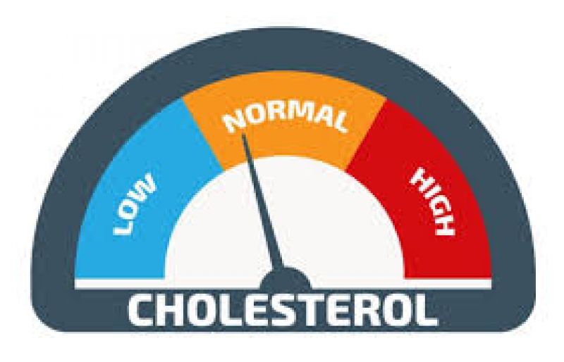 Cholesterol