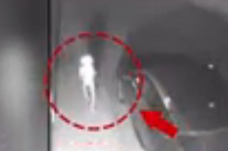 neither a human nor an animal mysterious pictures puzzle everyone