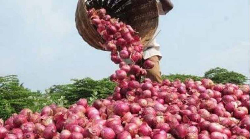 onions price Maharashtra