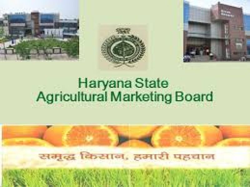 Agricultural Marketing Board haryana